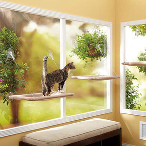 Cat Window Hammock