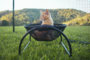 Skywalks Floor Cat Hammock – With Stand