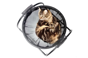 Skywalks Floor Cat Hammock – With Stand